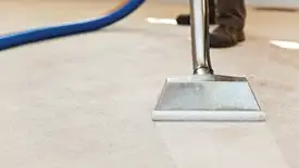 Carpet cleaning wand head gliding over a light carpet during hot-water extraction, Louisville, KY.