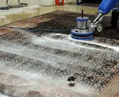 Professional rug cleaning with a rotary floor machine and shampoo foam, deep-cleaning an area rug, in Louisville, KY.