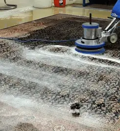 Professional rug cleaning with a rotary floor machine and shampoo foam, deep-cleaning an area rug Louisville, KY.